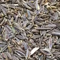 زیره سیاه کرمان 250 گرم (وحشی کوهستان)