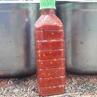 سس فلفل تند محلی در بسته بندی نیم کیلویی 