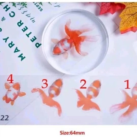 ترنسفر ماهی سه بعدی 002