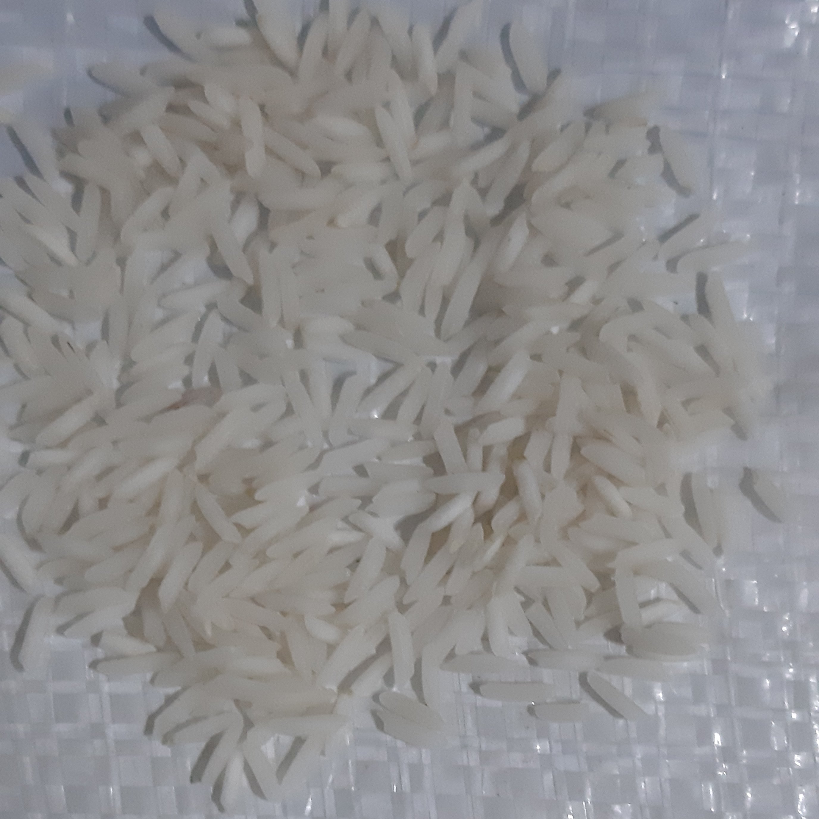 برنج خوشپخت شیرودی