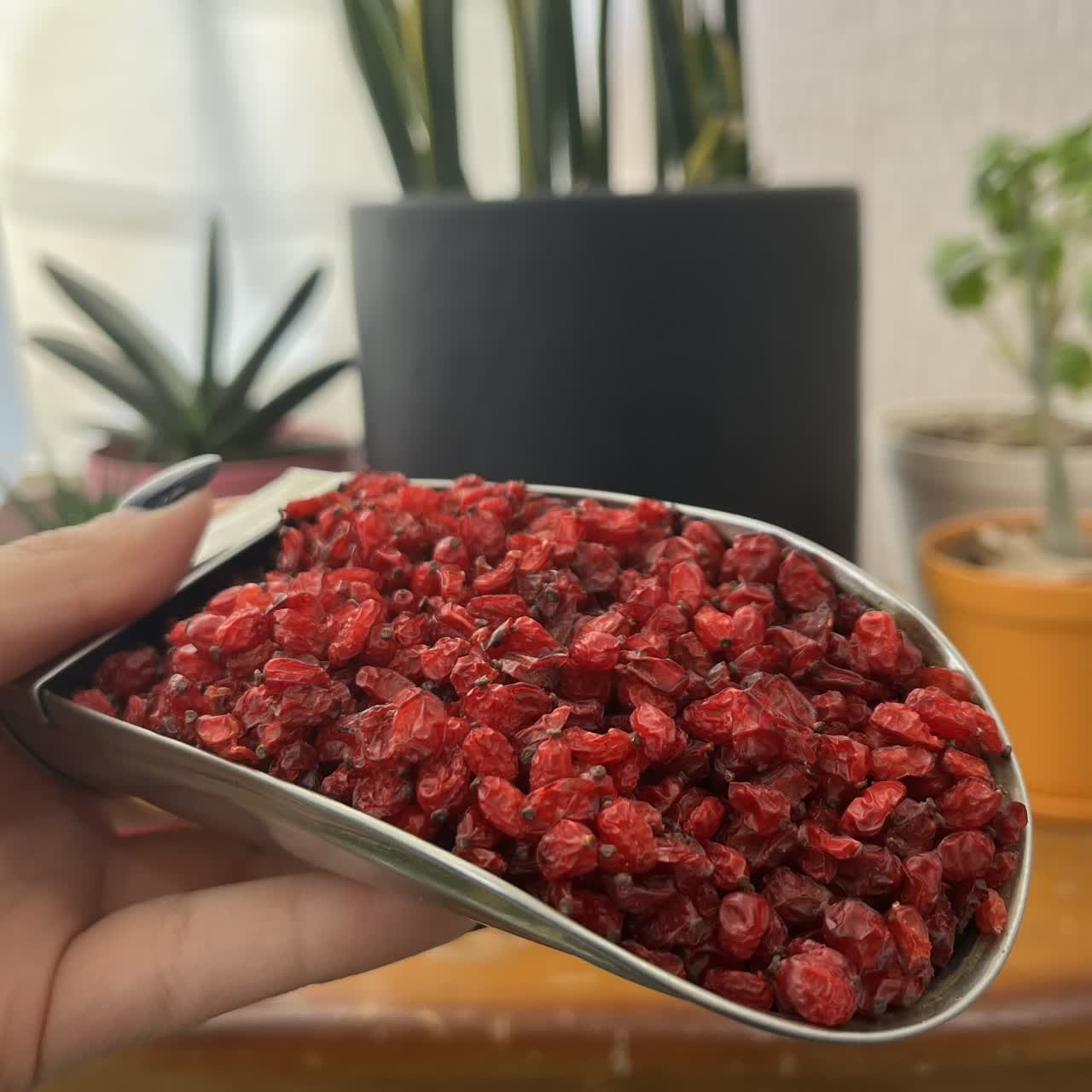 زرشک پفکی  اعلا درجه 1 یک کیلویی 