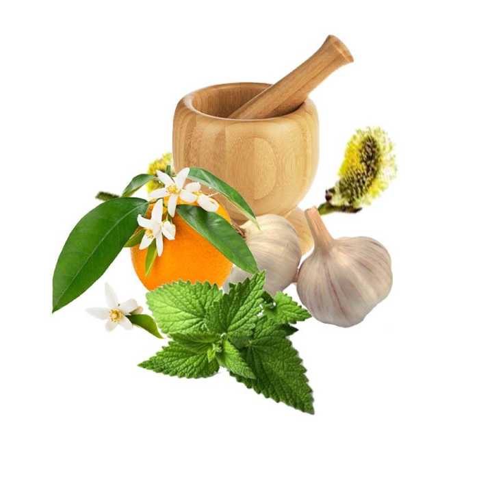 معجون ترکیبی کاهش فشار خون 850 سی سی