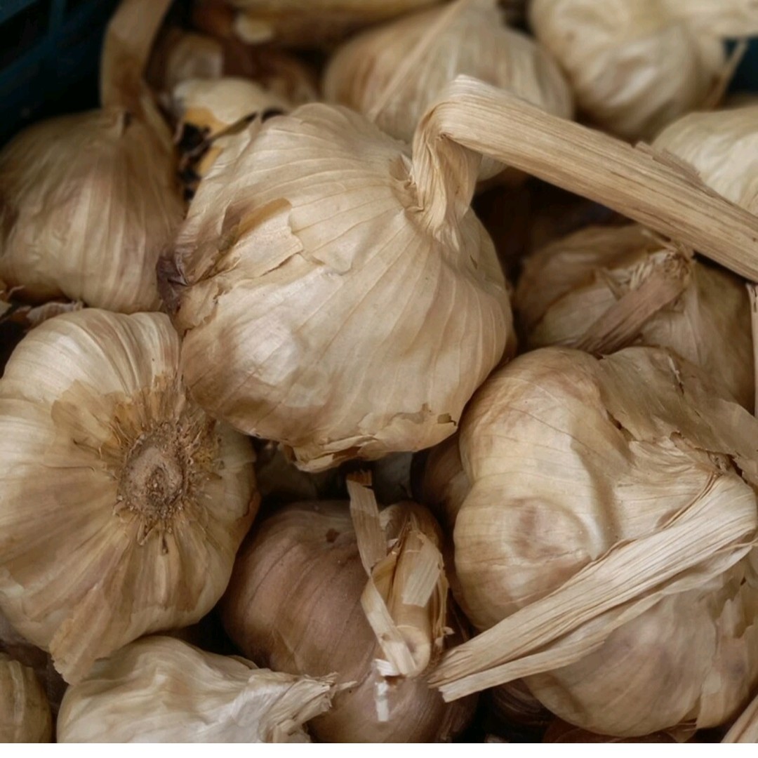 سیر سیاه همدان(نیم کیلویی)تضمین کیفیت پاستیلی و درجه یک