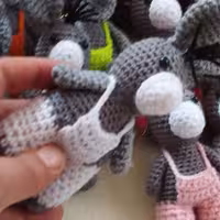 جاسوییچی الاغ