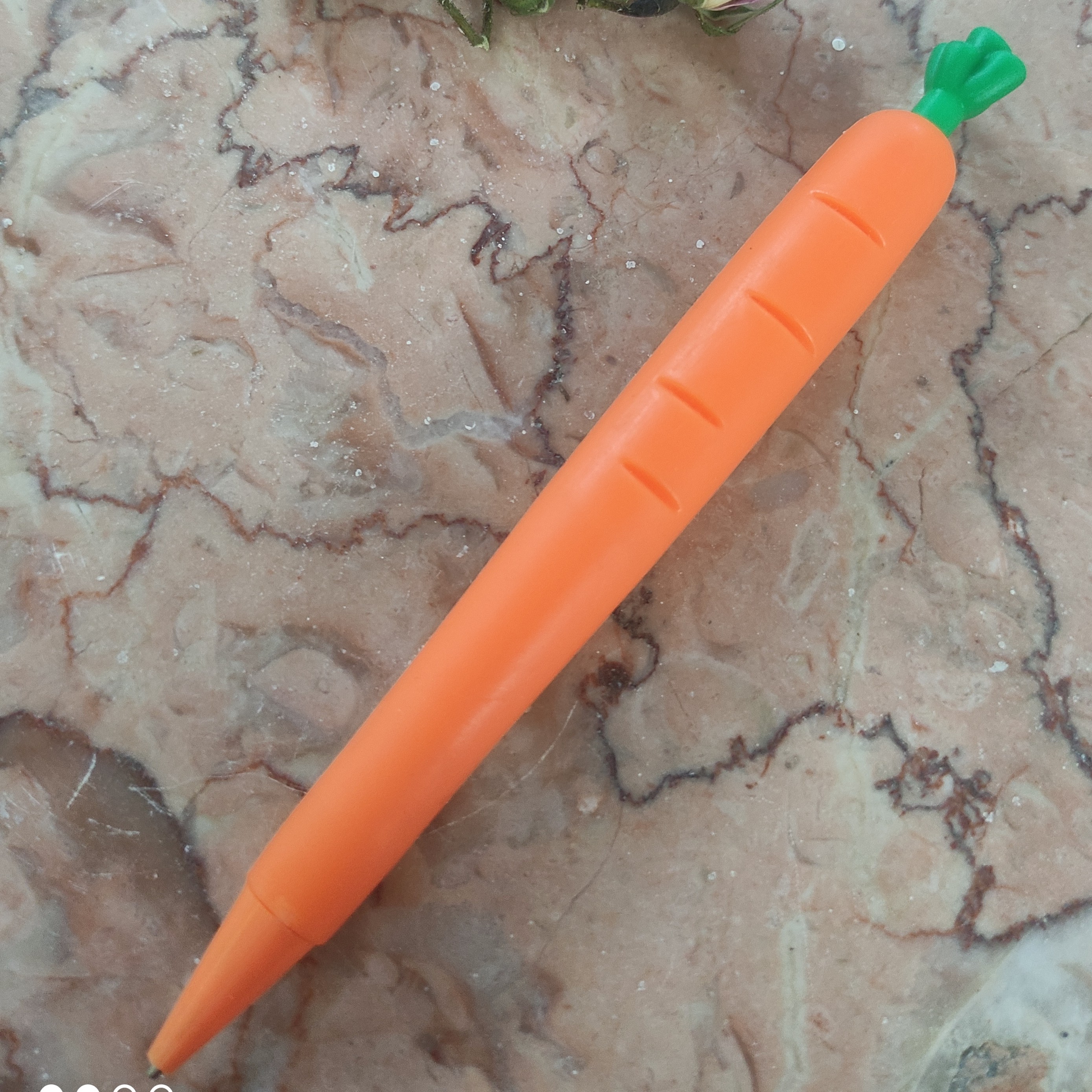 اتود فانتزی سبزیجات هویج 