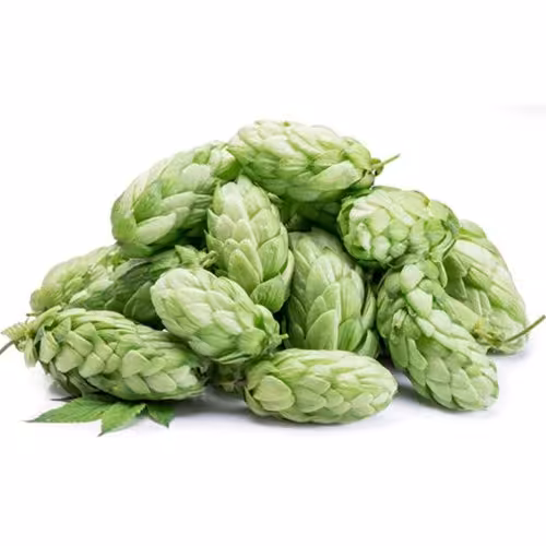 بذر رازک 5عددی