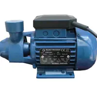 پمپ آب نیم اسب محیطی الکتروژن مدل KPM50 (پس کرایه)