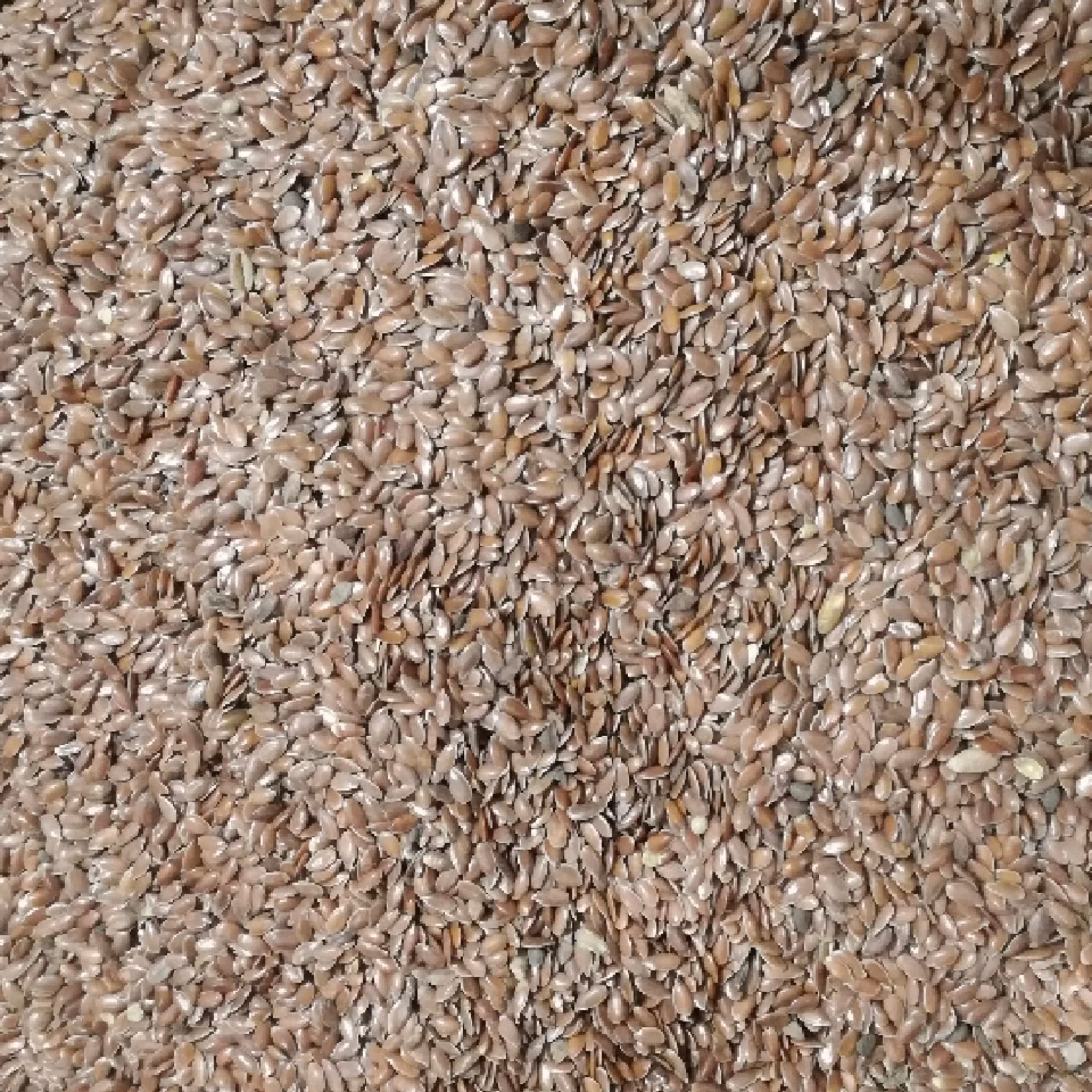 کتان سرخ 250 گرمی