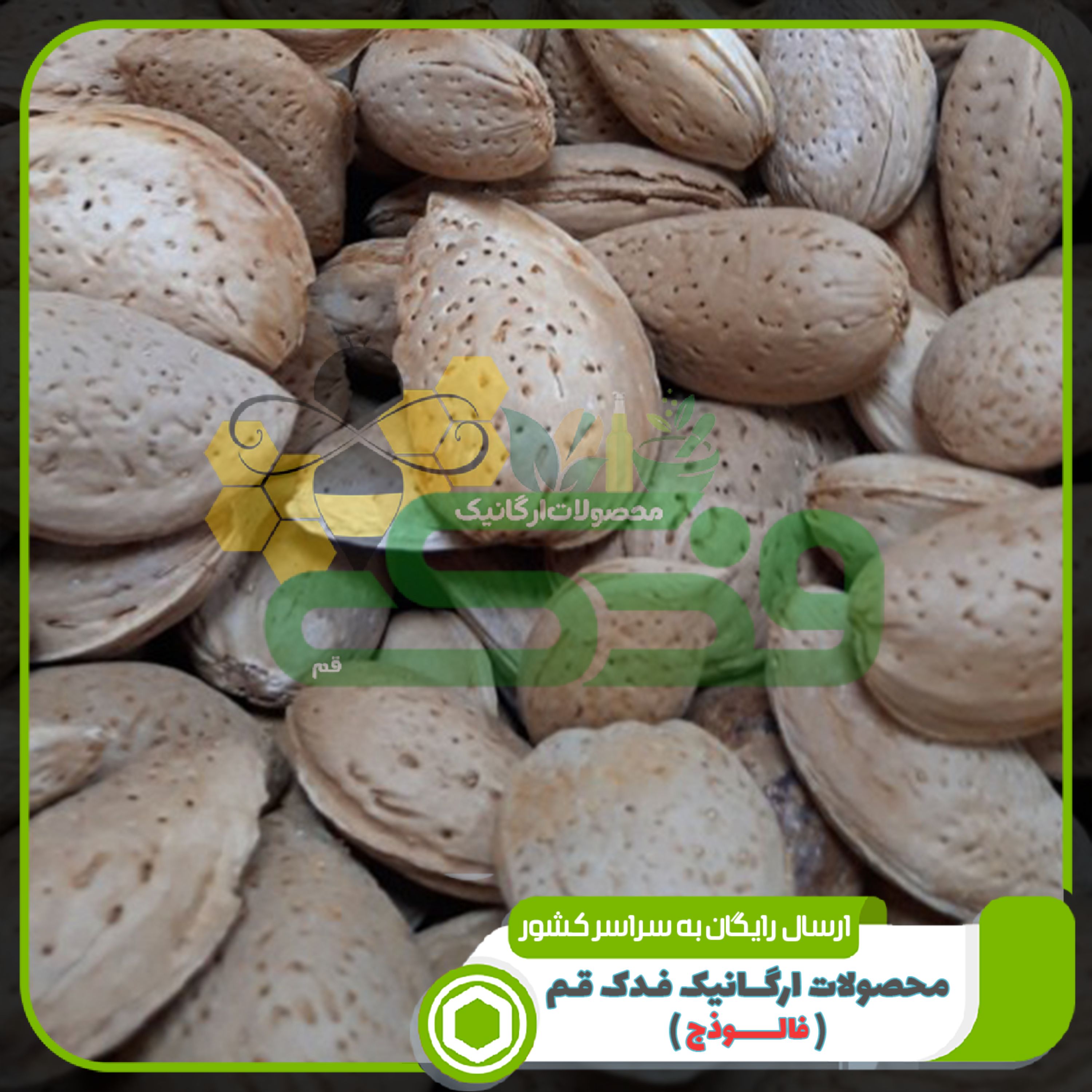 بادام سنگی با پوست ممتاز فدک (500گرم)