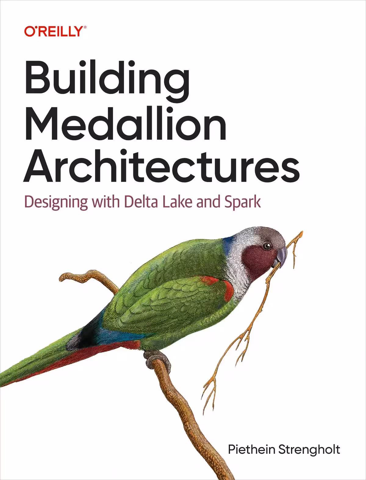کتاب Building Medallion Architectures