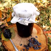 رب زرشک کوهی خانگی غلیظ وترش (250گرم)