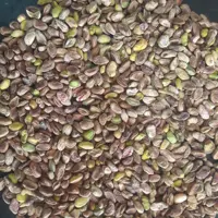 مغز  گندمی درشت
