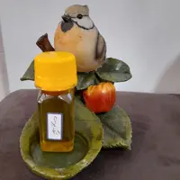 روغن چین و چروک گلستان ( 30 سی سی)