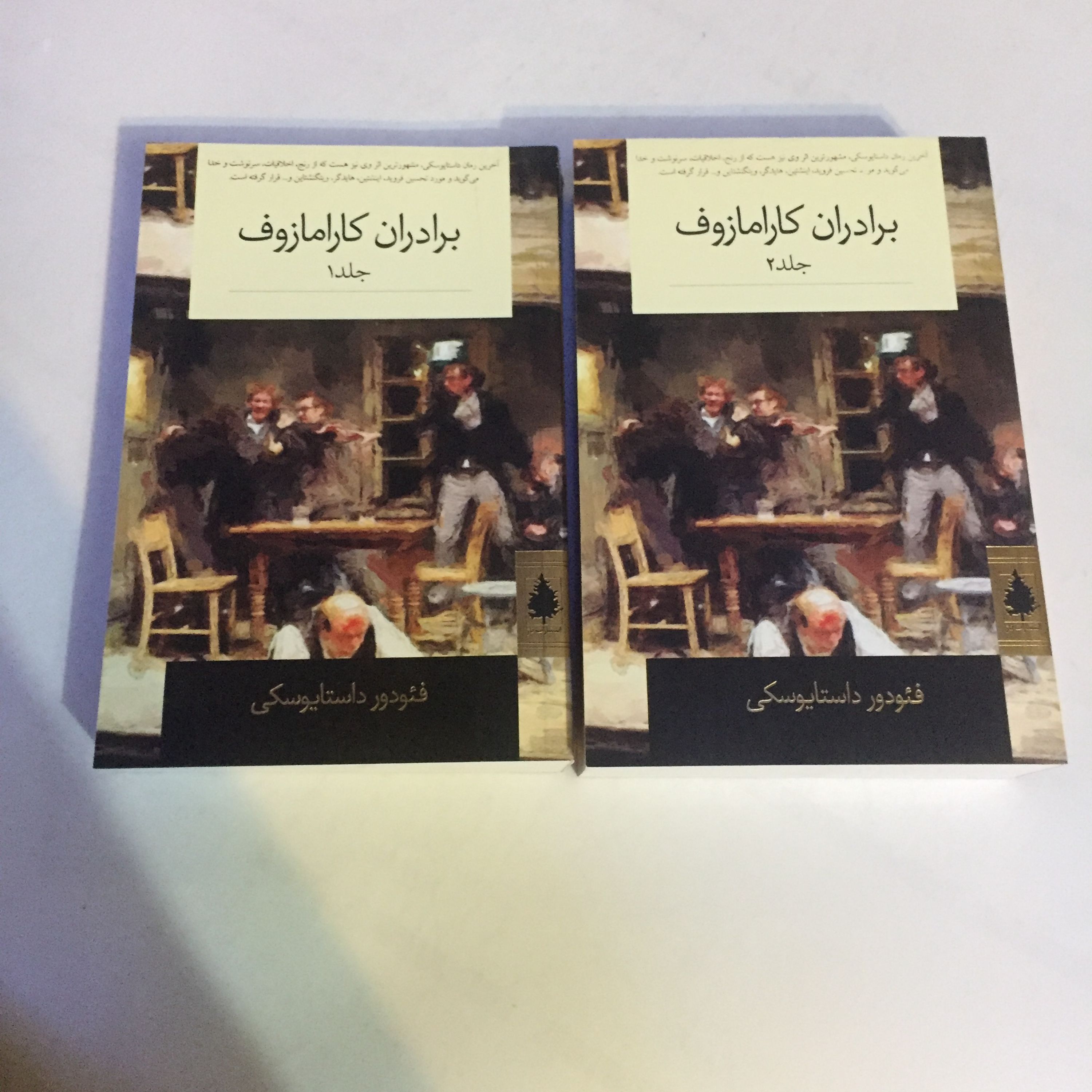 کتاب برادران کارامازوف دو جلدی