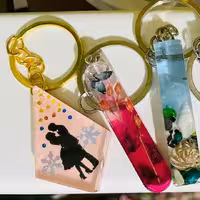 جا سوییچی رزینی