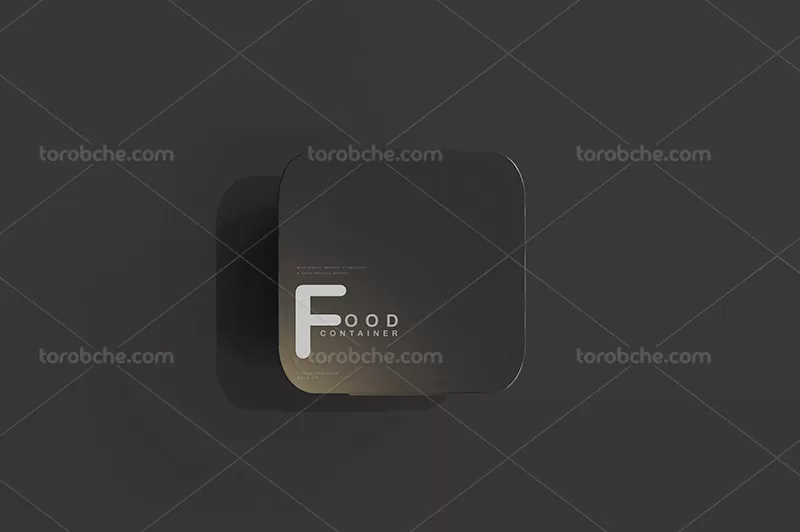 موکاپ بسته بندی غذایی از زاویه بالا | گرافیک با طعم تربچه