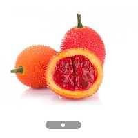 نهال گاک