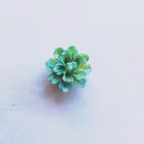 گل چینی سبزآبی