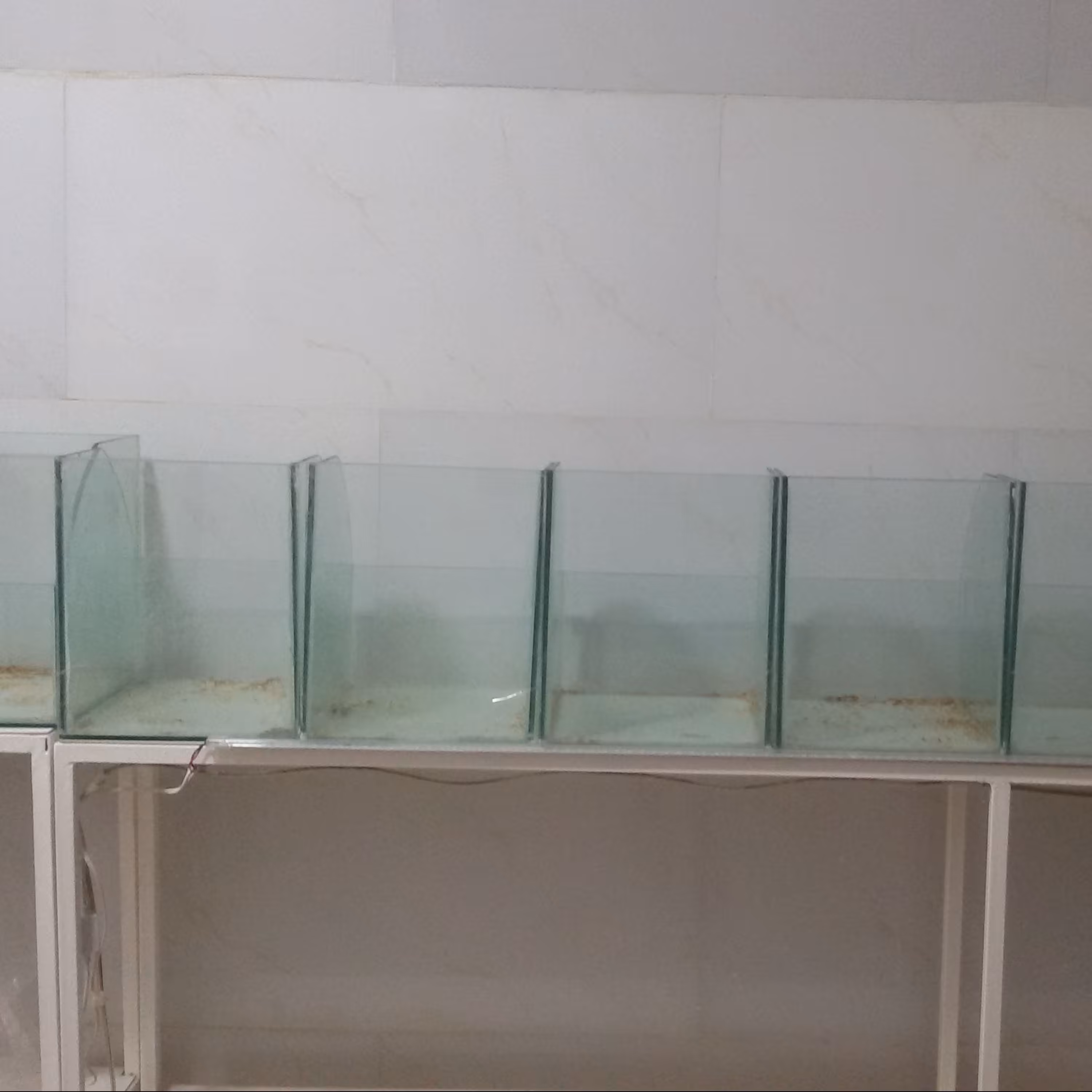 دکور قفسه شیشه ای برای فروش انواع جنس سیم کشی شده لامپ دار تمیزمناسب انواع فروش