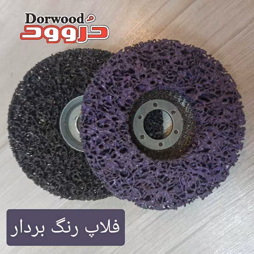 فلاپ رنگ بردار