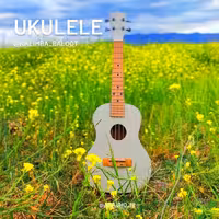 یوکللی کنسرت برند بلوط