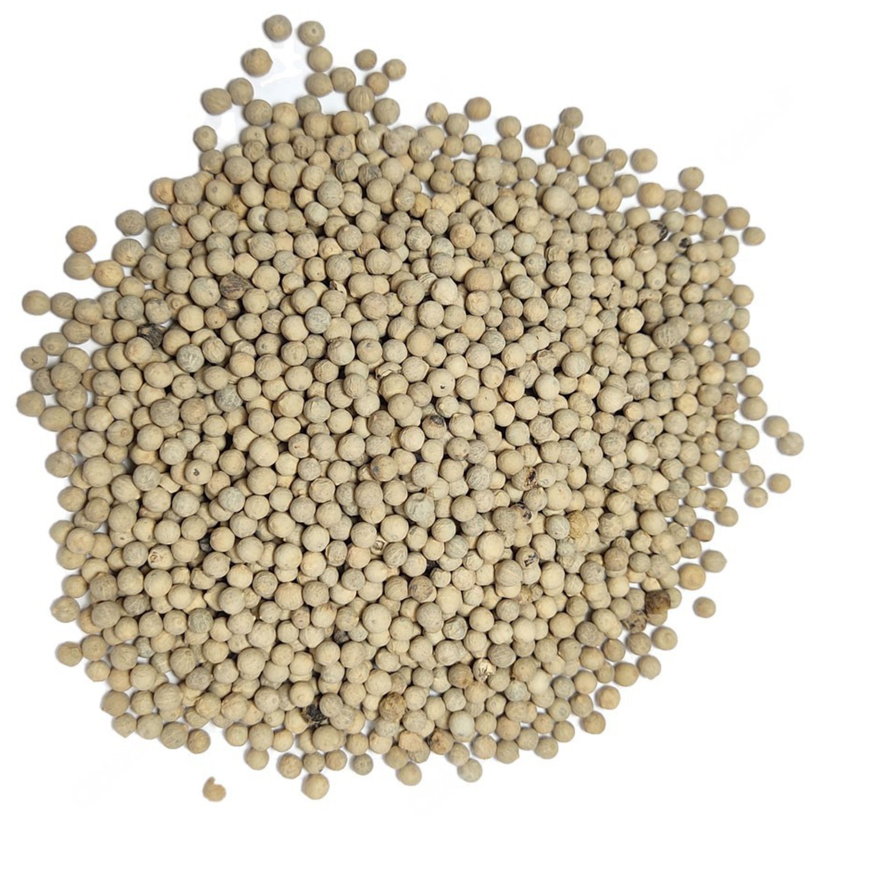 فلفل سفید قلم اعلا (50)