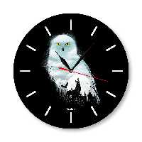 ساعت دیواری  راویتا مدل هری پاتر کد  3339  در رنگ های مشکی و سفید 