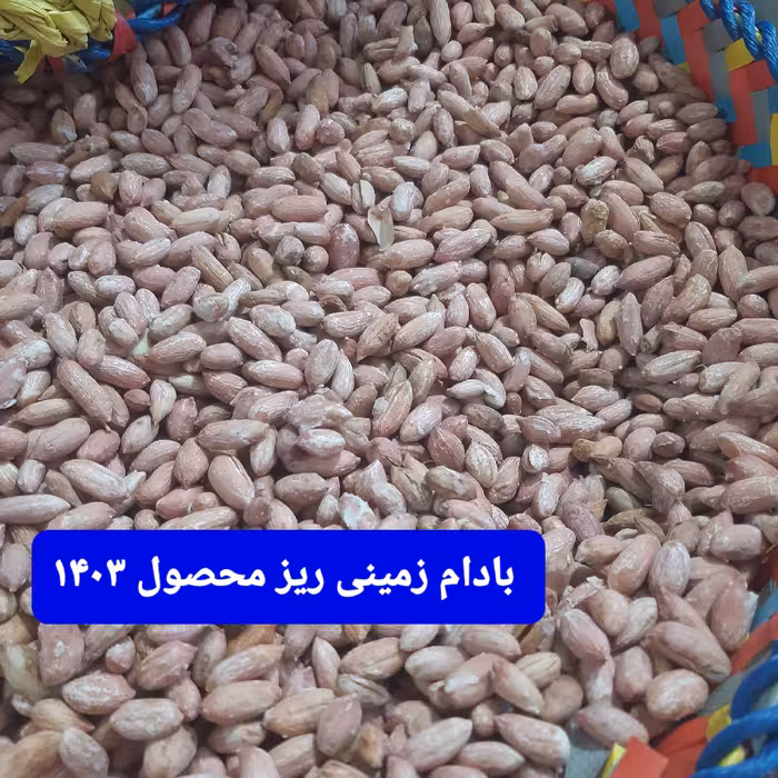 بادام زمینی ریز اقتصادی محصول 1403 (1000 گرمی) 
