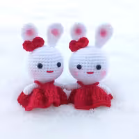 جاسوئیچی خرگوش کاموایی