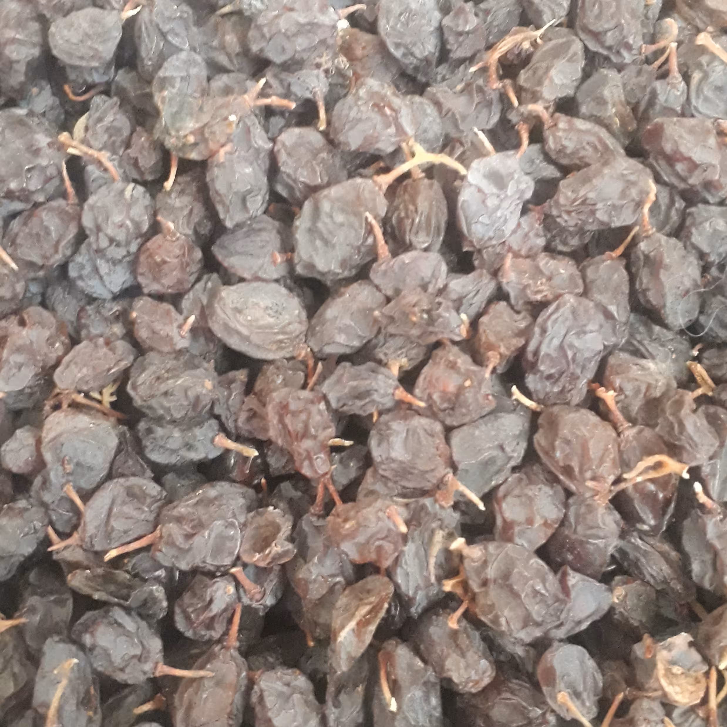 مویز قرمز هسته دار  پاک نکرده با دم