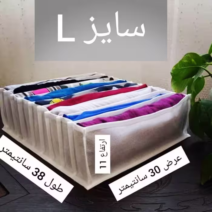 نظم دهنده