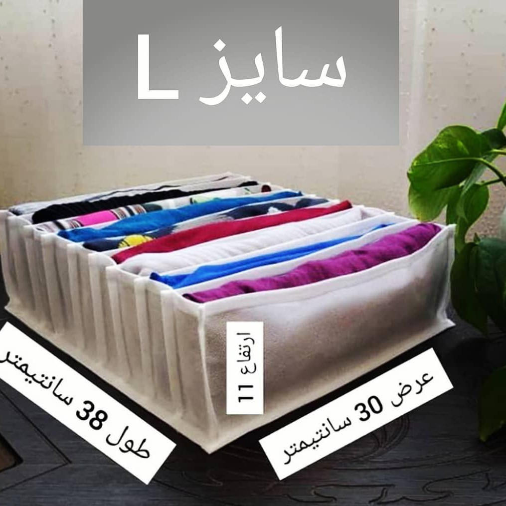 نظم دهنده