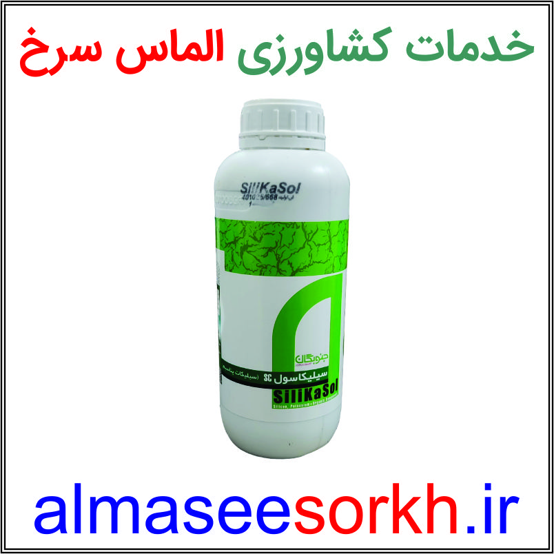 کود سیلیکات پتاسیم (سیلیکاسول) جنوبگان 1 لیتری | گیاه پزشکی الماس سرخ