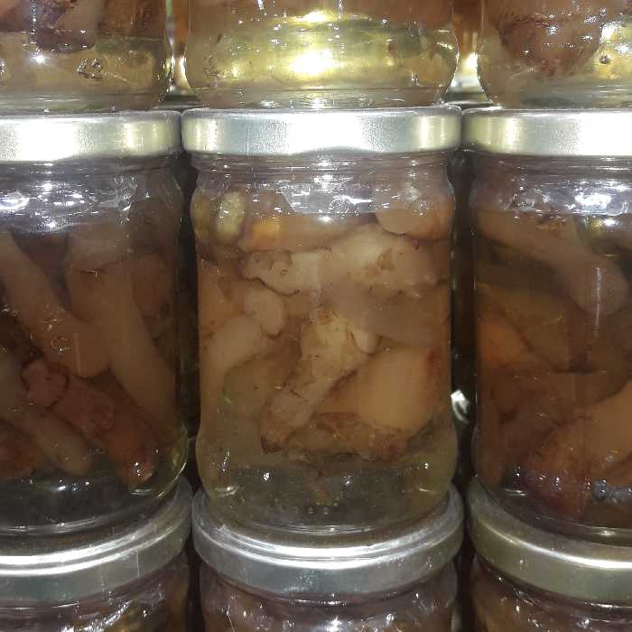 مربای شقاقل تهیه شده از  زمین های  حاصل خیز شمال کشور  بسیار مقوی و خوشمزه 