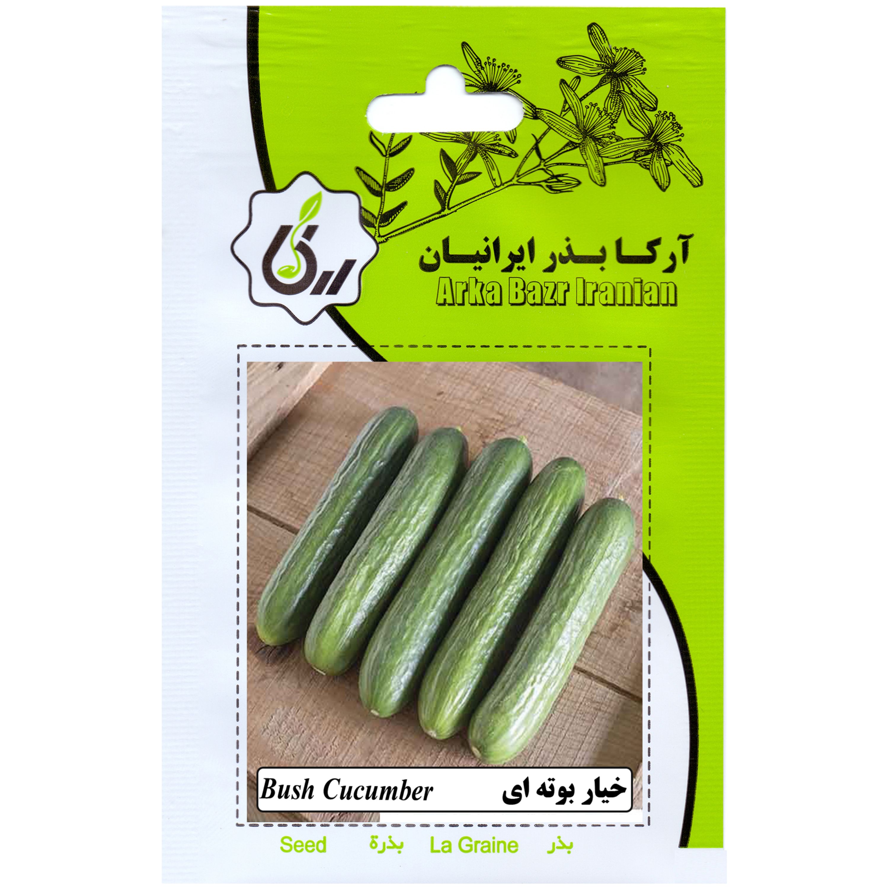 خیار بوته ای ارکا بذر ایرانیان
