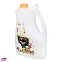 مایع دستشویی اکتیو (Active) با رایحه دارچین حجم 3.750 لیتر
