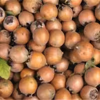 رب ازگیل محصولات طبیعی زیتون