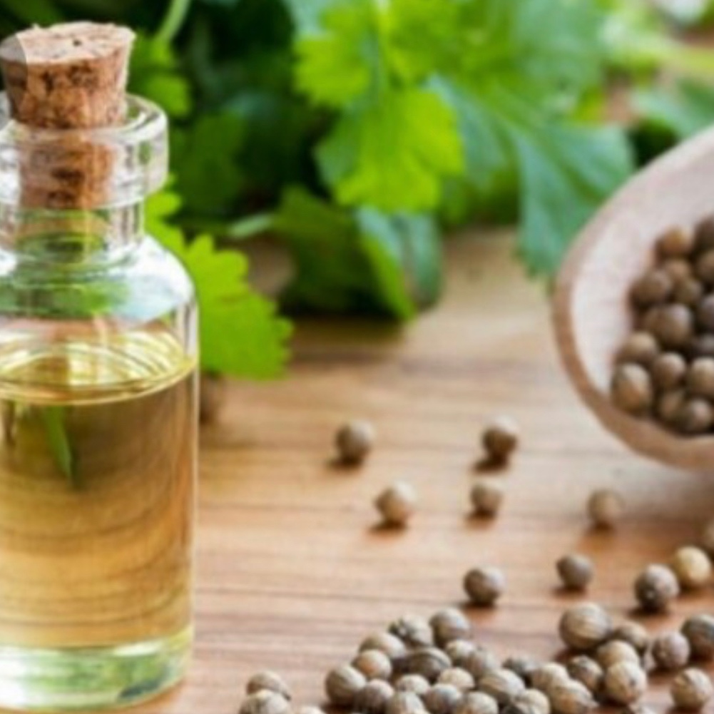روغن گشنیز یک لیتری