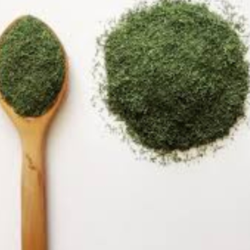 شوید خشک عالی 100 گرمی