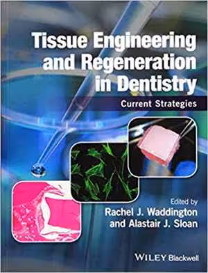 [PDF] دانلود کتاب Tissue Engineering And Regeneration In Dentistry - Current Strategies, 2017