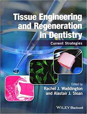 [PDF] دانلود کتاب Tissue Engineering And Regeneration In Dentistry - Current Strategies, 2017