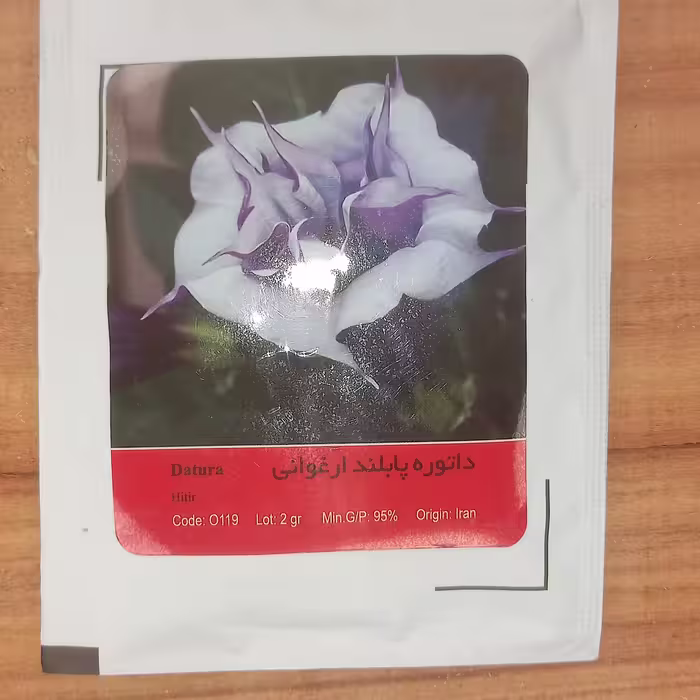 بذر گل داتوره  پابلند  الوان