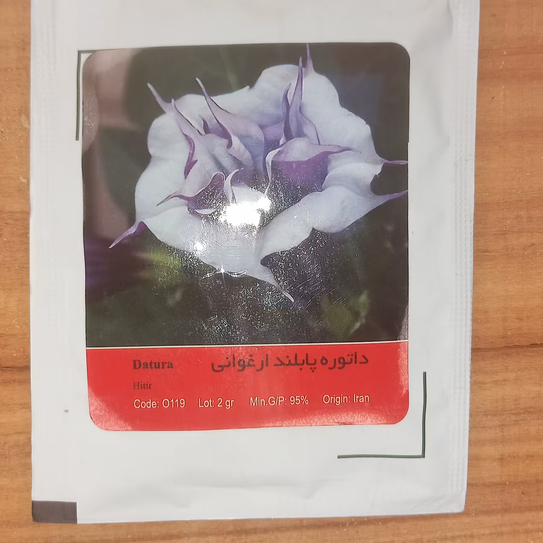 بذر گل داتوره  پابلند  الوان