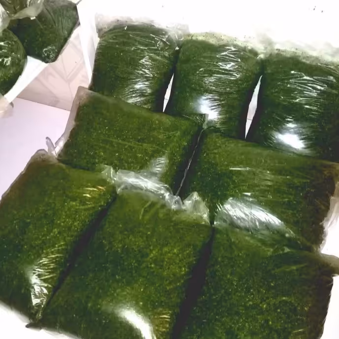 گشنیز خرد شده 20کیلویی