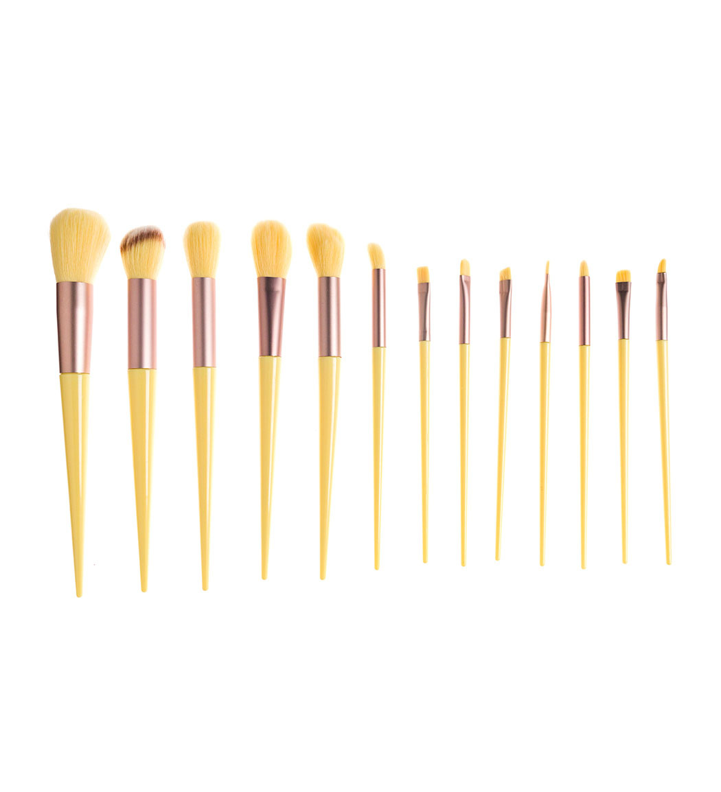 ست براش آرایشی مدل F2 مجموعه 13 عددی (100 gr)(69823)