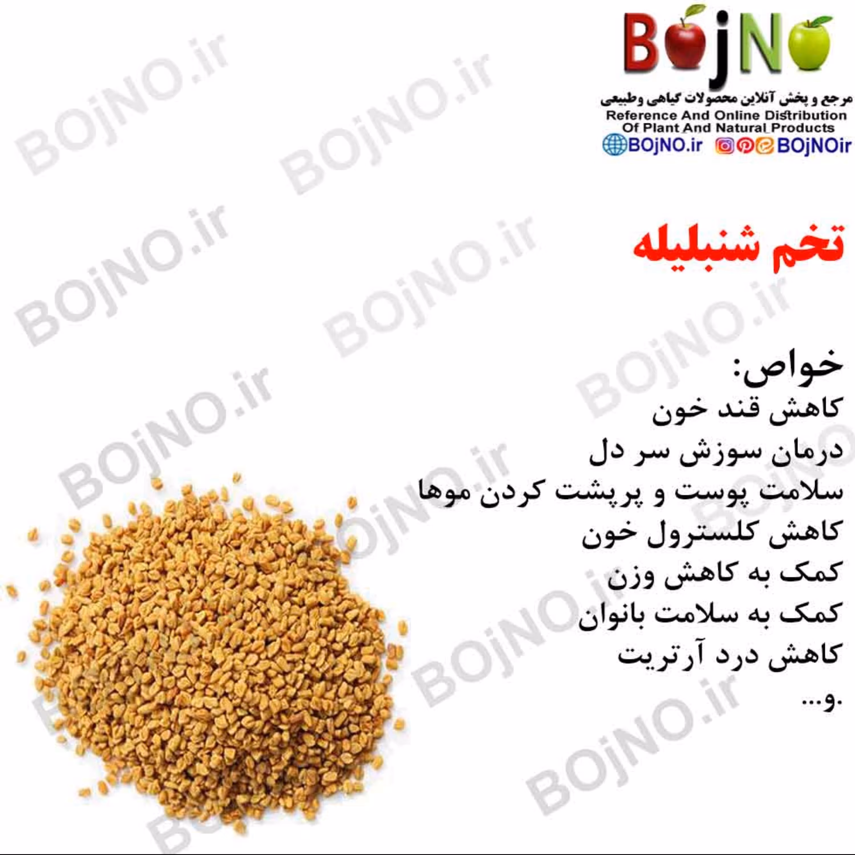 تخم شنبلیله(بسته 50گرمی)