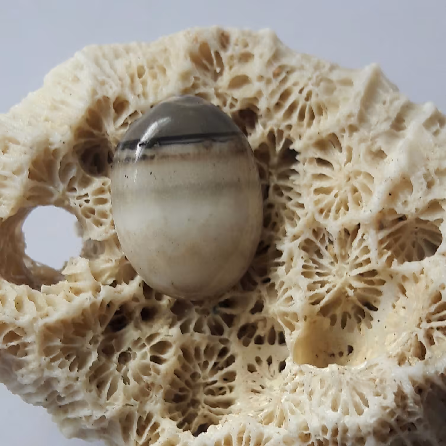 نگین عقیق سلیمانی خاص و زیبا