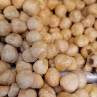 مغزفندق درشت ویکدست