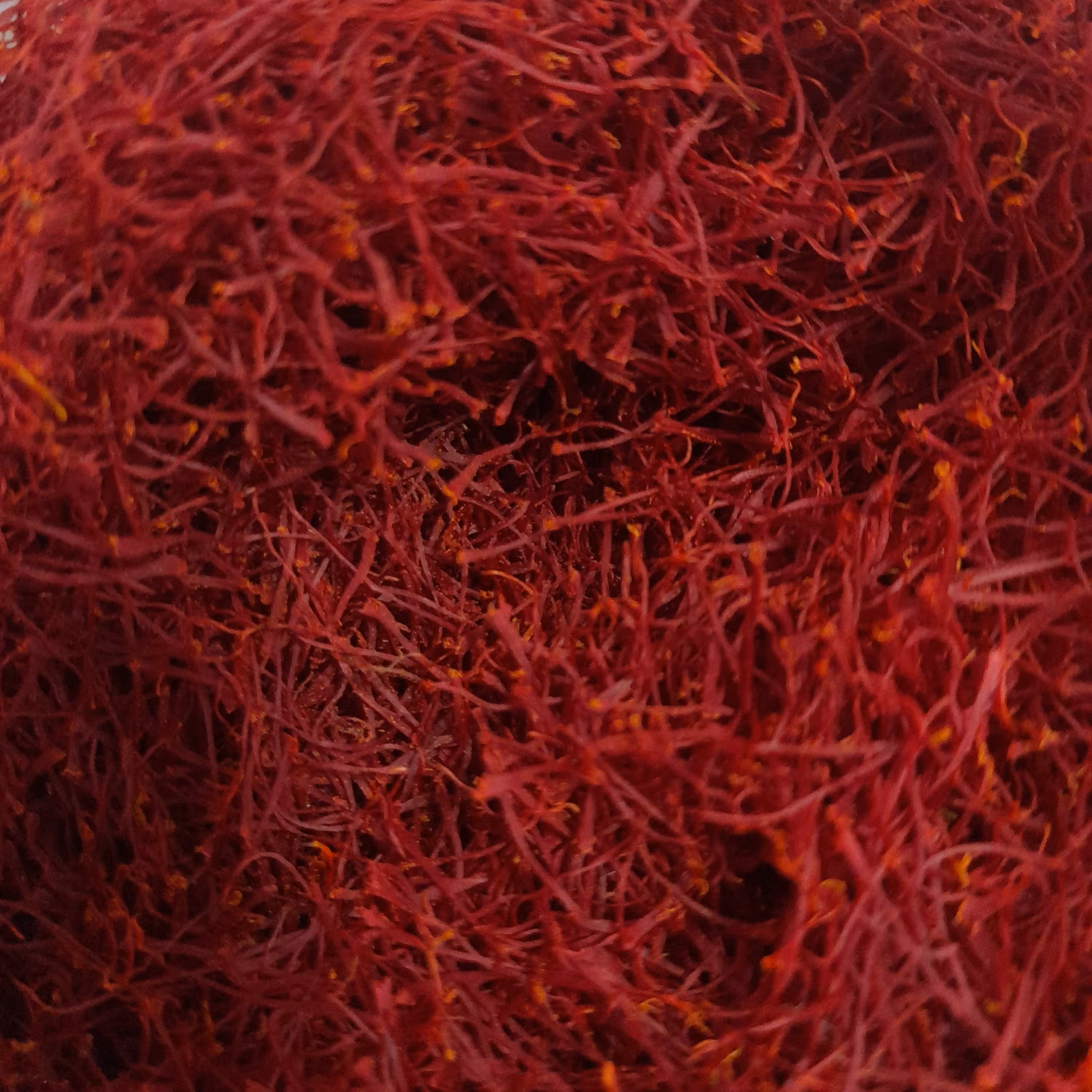 زعفران شبه نگین خراسان 10 گرمی