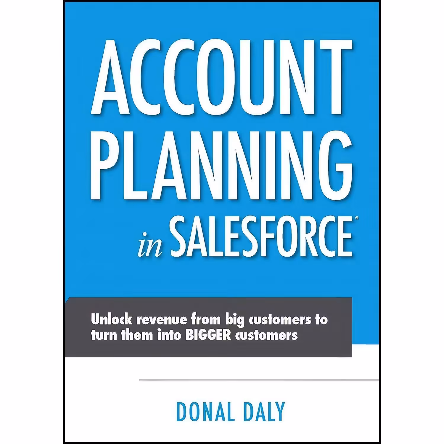 کتاب زبان اصلی Account Planning in Salesforce اثر Donal Daly